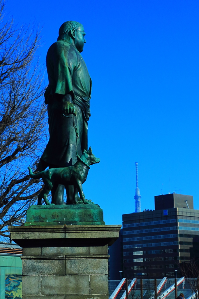 西郷どん！　スカイツリーを見下ろし何思う