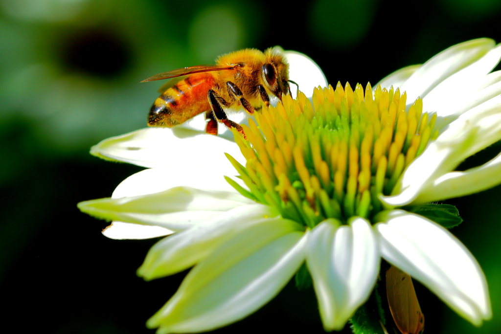 猛暑、何するものぞ！