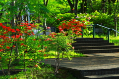 春の公園プロムナード