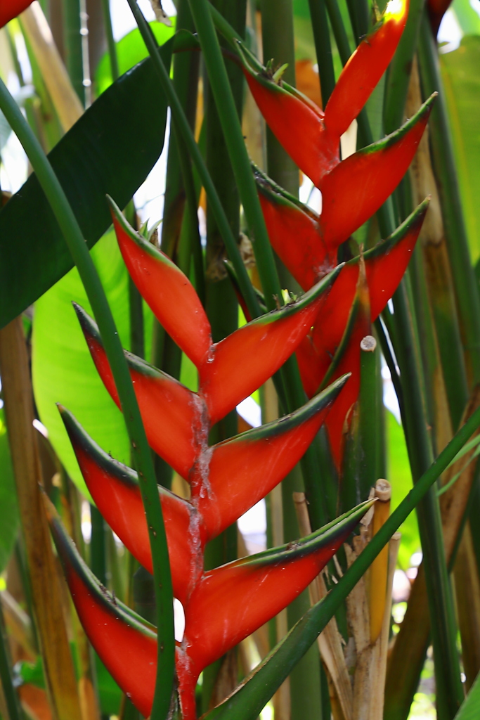 な・なんじゃ～こりゃ　part２