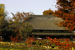 郷愁