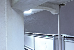 東京が雪の日　　暴風雪？