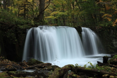 奥入瀬　滝二題　銚子大滝