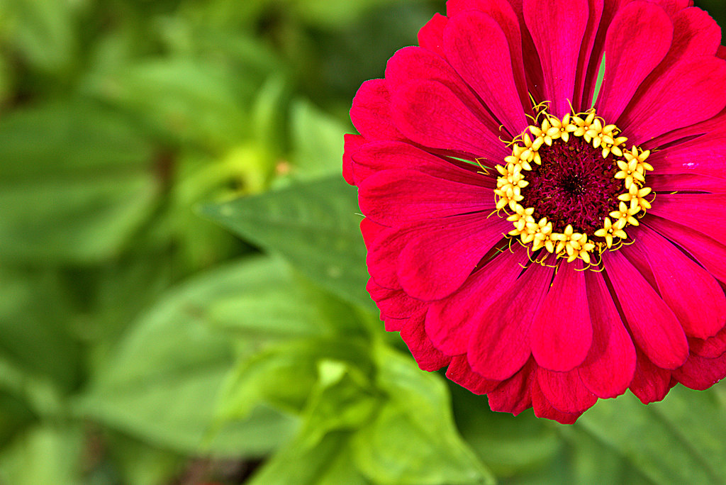 緑と赤と黄色の印象