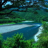 青い川　　仁淀川