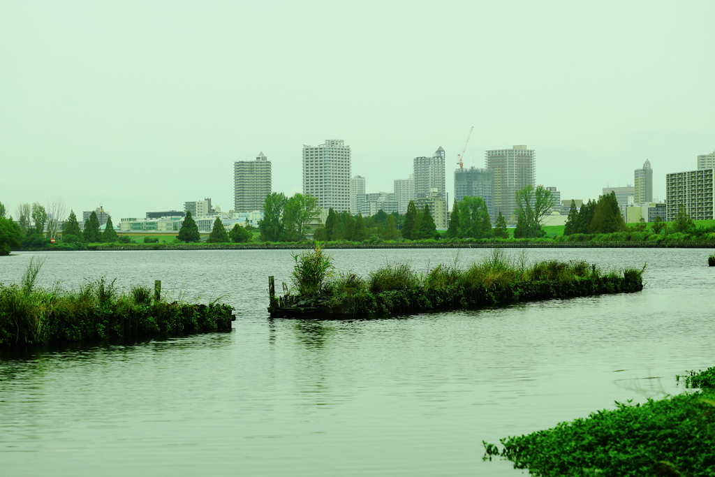 雨にけぶるビル群　と　護岸提