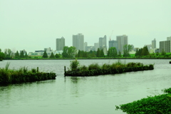 雨にけぶるビル群　と　護岸提