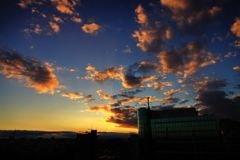 夕景有情