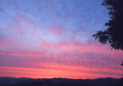 夕焼け