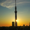 スカイツリーの夜明け