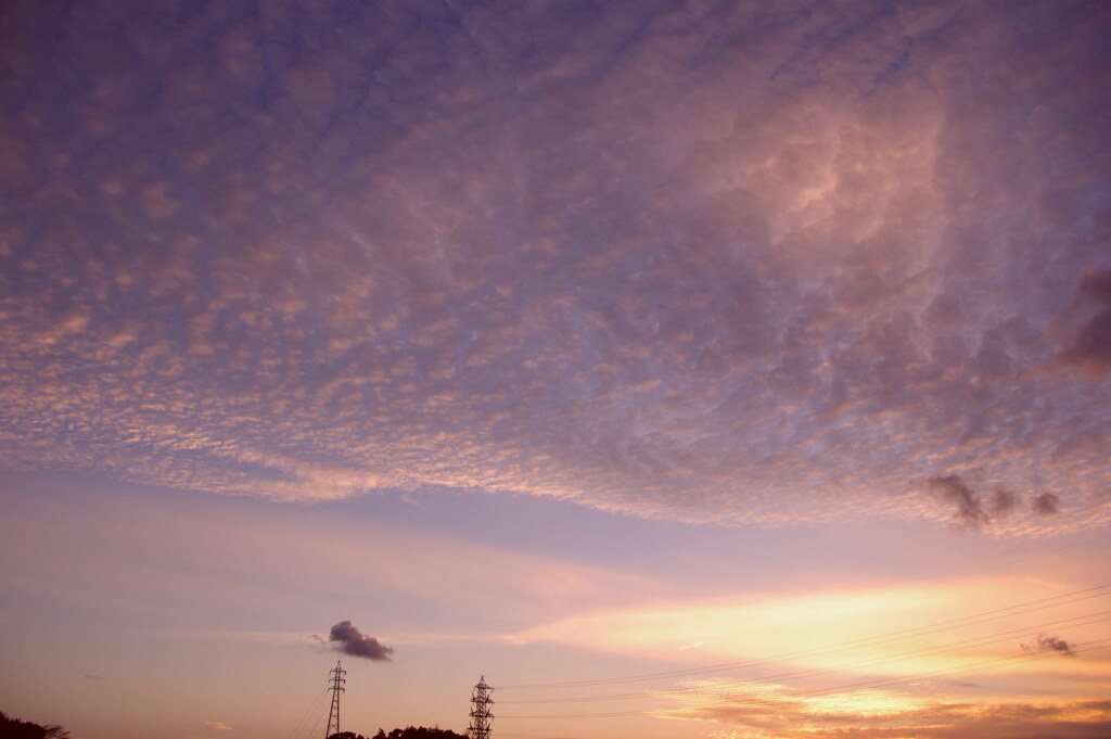 秋の夕暮