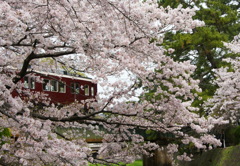 電車を飾る