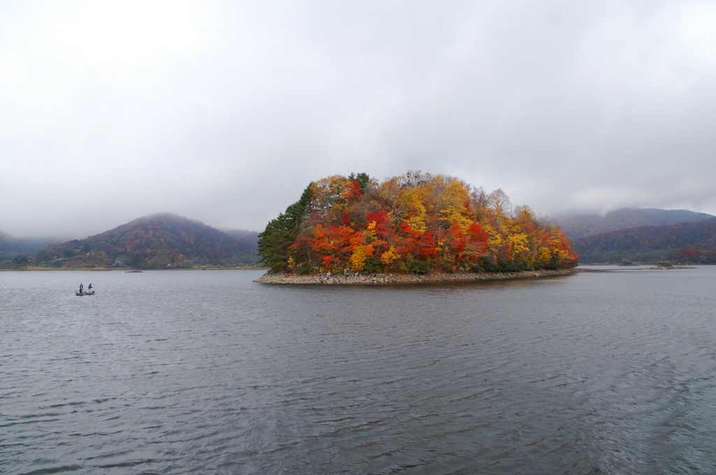 小さな紅葉