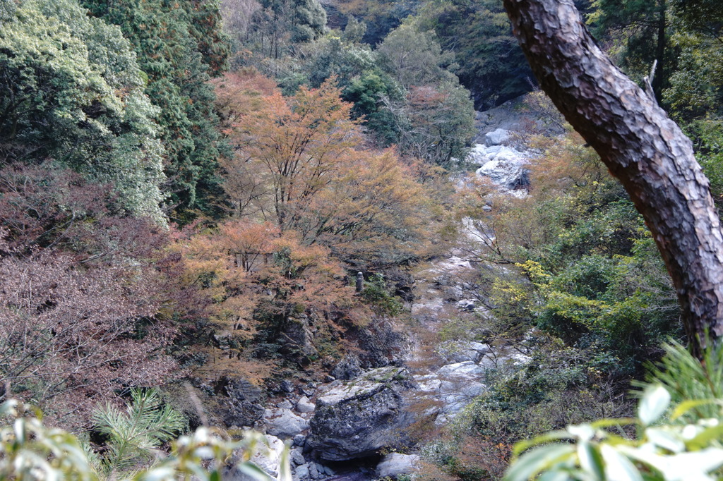 中津渓谷（その２）