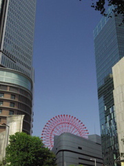 赤