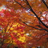 東福寺　3