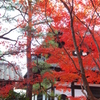 東福寺　5