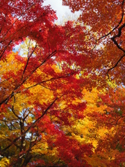 東福寺　4