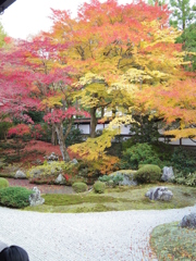 泉涌寺　御座所庭園