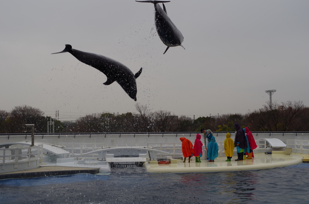 京都水族館