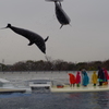 京都水族館