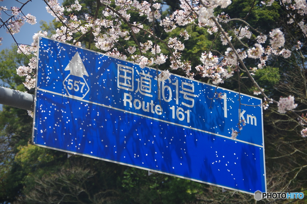 雨あがり