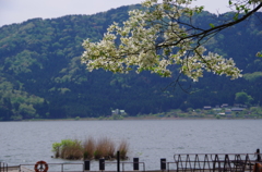 余呉湖