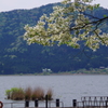 余呉湖