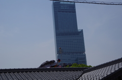 屋根より高い