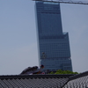 屋根より高い