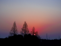 夕日　2