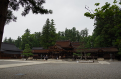 小雨の中