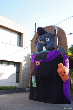 信楽駅前大タヌキ