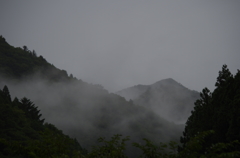 雨の日