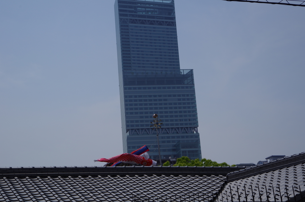 屋根より高い　2