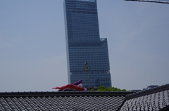 屋根より高い　2