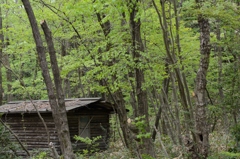 近場の小屋