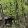 近場の小屋