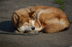 まったり
