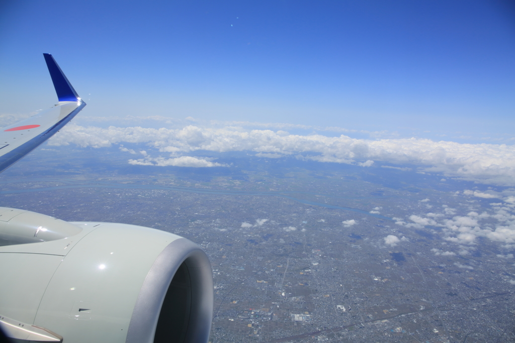 飛行機