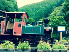 森林の鉄道(2)