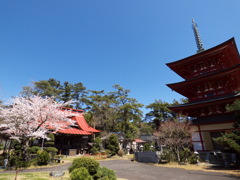 大洗町護国寺おまんだら