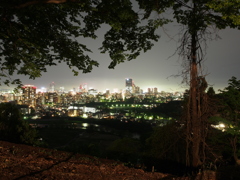 仙台夜景