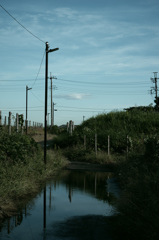 青銀