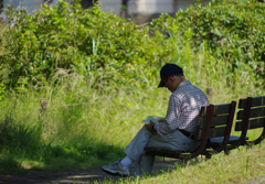 熱帯読書