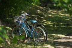 木影サイクル