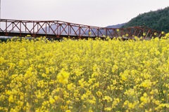 goro-bridge*