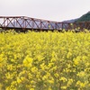 goro-bridge*