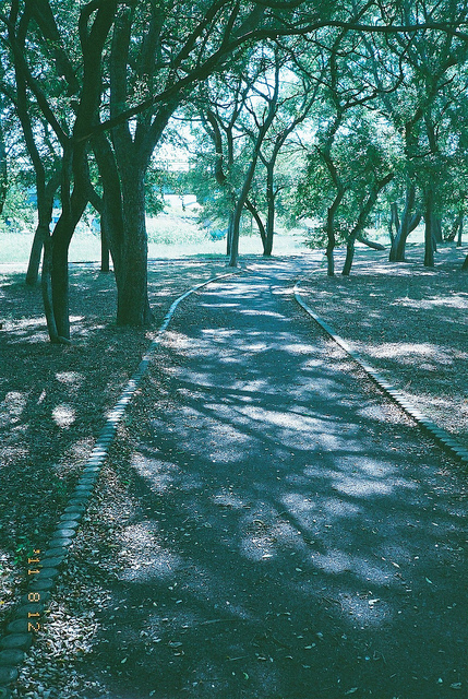 Kasuminomori-park*