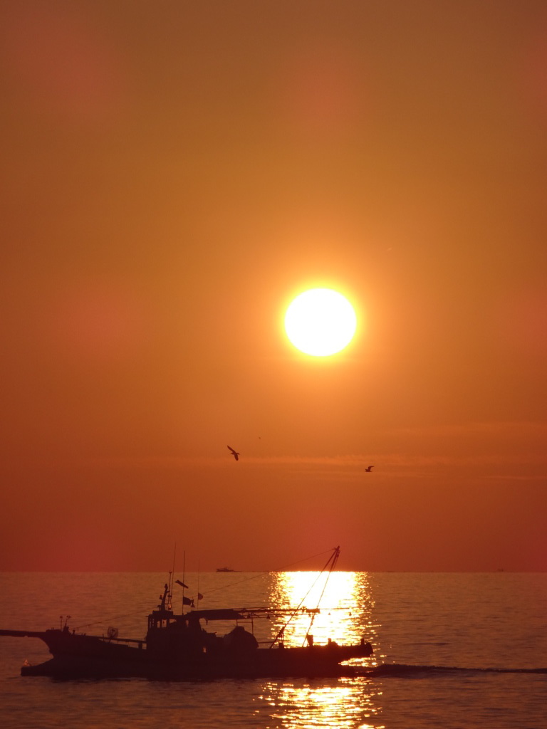 夕景②